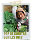 PDF de Caritas sur les OMD